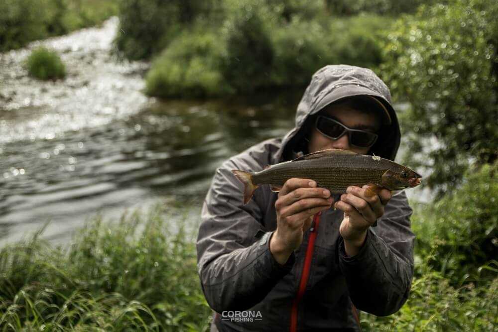 wędkarstwo skandynawia